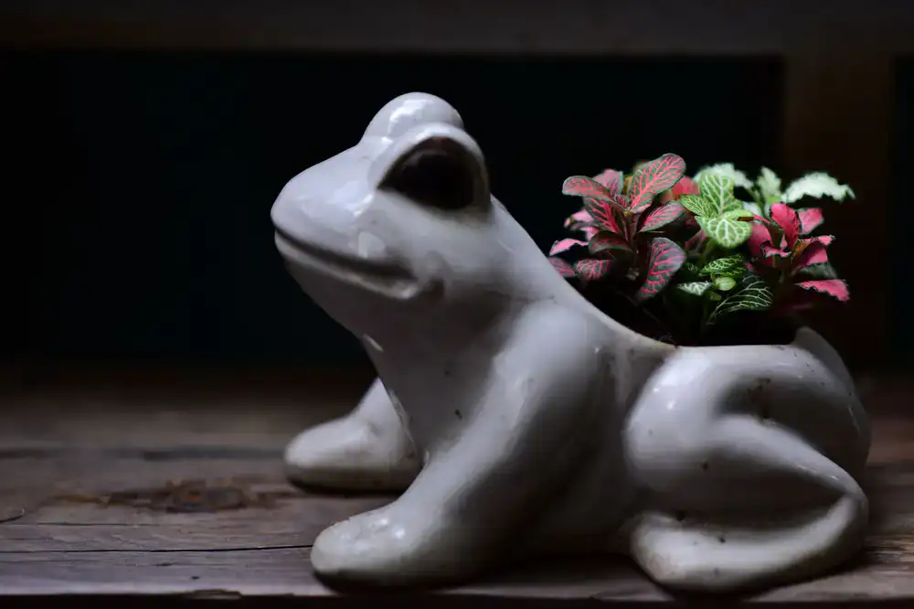 Textured ceramic planters containing lush indoor plants
